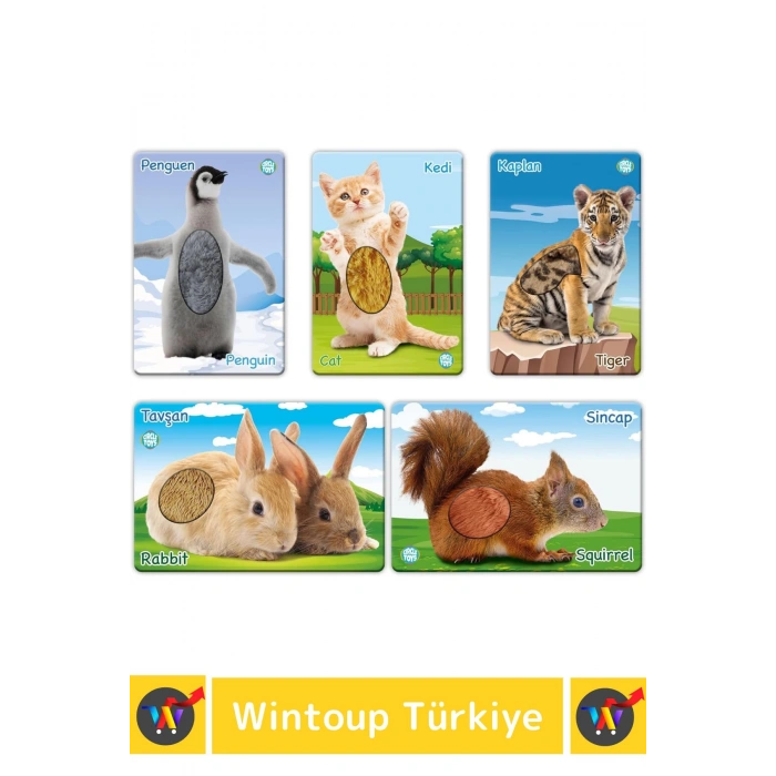 Premium Eğitici Çocuk Gelişimi Eğlenceli Öğrenme Dokun Hisset Tanı Yavru Hayvanlar Eğitim Kartları