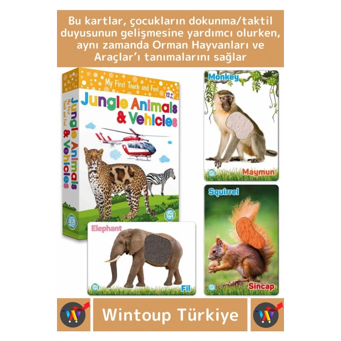 Premium Eğitici Görsel Algı Zeka Eğlenceli Öğrenme Orman Hayvanları Ve Araçlar Eğitim Kartları