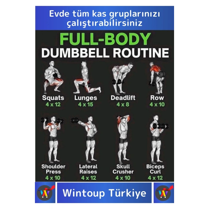 Premium Plastik Spor Egzersiz Fitness Vücut Geliştirme Pilates Ağırlık 4 Kg Dambıl Seti 2 Ad Dumbell