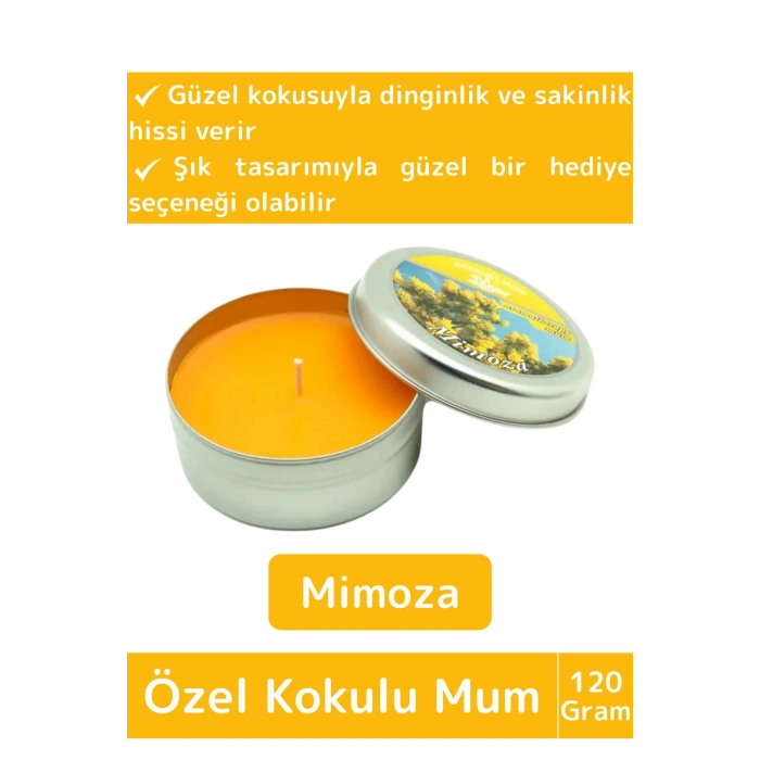 Premium Özel Metal Kutulu Arınma Huzur Meditasyon Yoga Esans Dekoratif Mum Oda Kokusu 120 Gram