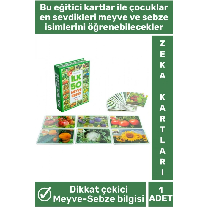 Özel Seri El Göz Koordinasyon Görsel Algı Geliştirici Meyve Sebze Öğretici İLK 50 MEYVE SEBZE