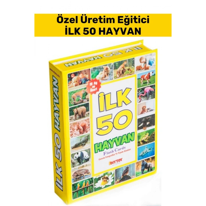 Özel Seri El Göz Koordinasyon Görsel Algı Geliştirici Hayvan İsimleri Öğretici İLK 50 HAYVAN