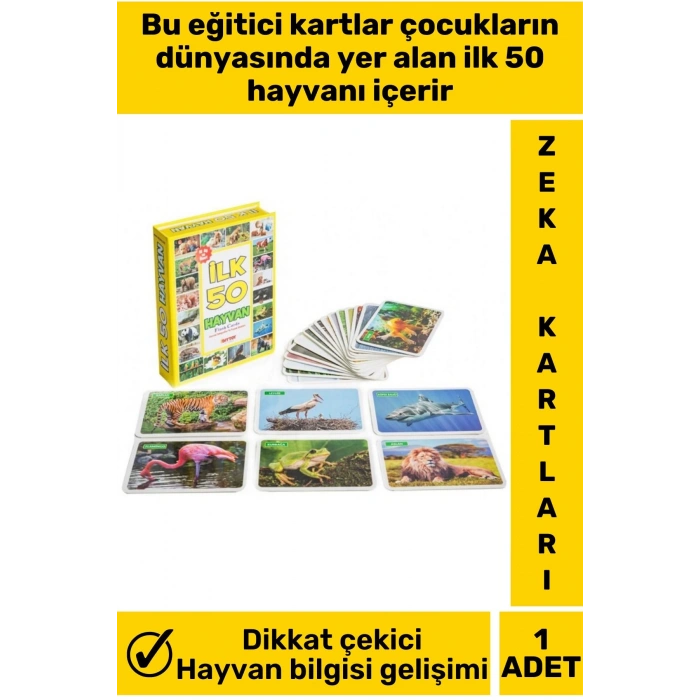 Özel Seri El Göz Koordinasyon Görsel Algı Geliştirici Hayvan İsimleri Öğretici İLK 50 HAYVAN