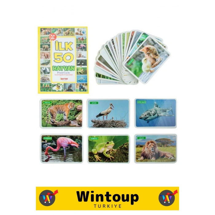 Özel Seri El Göz Koordinasyon Görsel Algı Geliştirici Hayvan İsimleri Öğretici İLK 50 HAYVAN