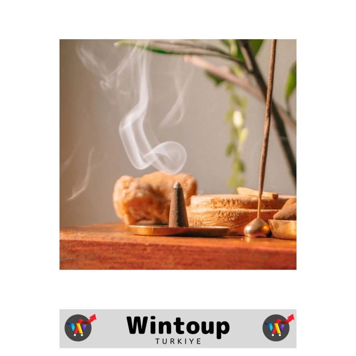 Rahatlatıcı Arındırıcı İyileştirici Ev Ofis Meditasyon Yoga Chakra Pozitif Enerji 120 Konik Tütsü