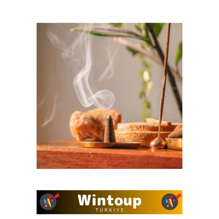 Rahatlatıcı Arındırıcı İyileştirici Ev Ofis Meditasyon Yoga Chakra Pozitif Enerji 120 Konik Tütsü