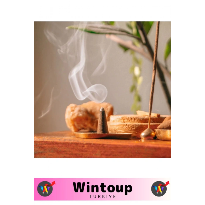 Rahatlatıcı Arındırıcı İyileştirici Ev Ofis Meditasyon Yoga Chakra Pozitif Enerji 120 Konik Tütsü