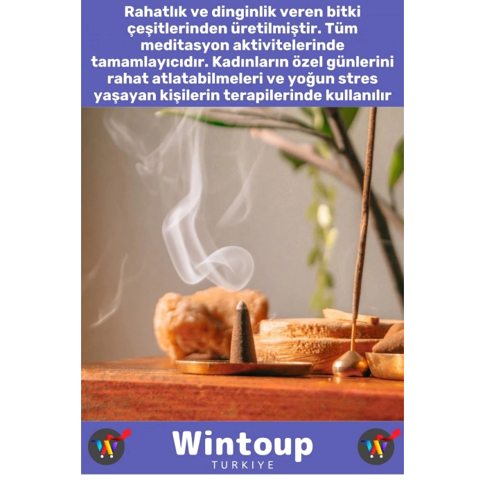 Rahatlatıcı Arındırıcı İyileştirici Ev Ofis Meditasyon Yoga Chakra Pozitif Enerji 120 Konik Tütsü