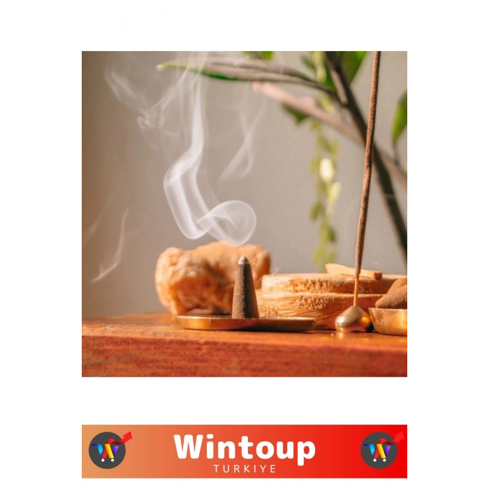 Rahatlatıcı Arındırıcı İyileştirici Ev Ofis Meditasyon Yoga Chakra Pozitif Enerji 120 Konik Tütsü