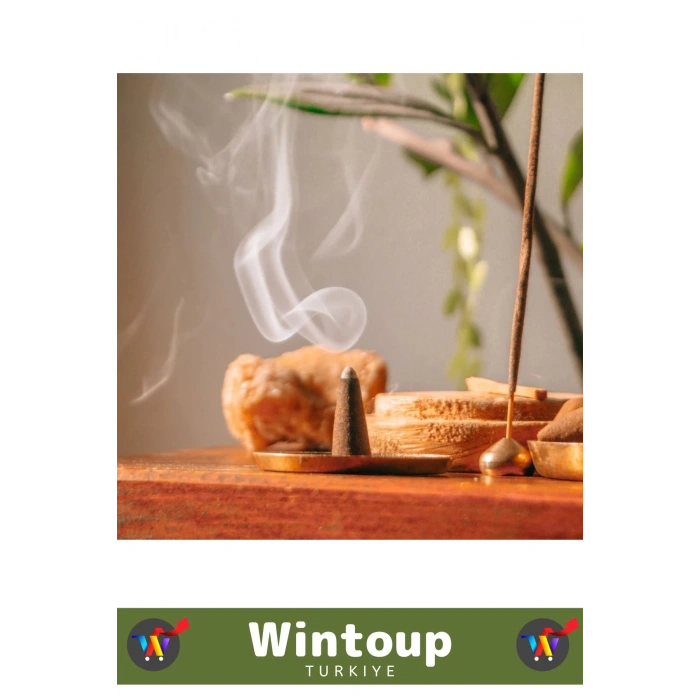 Rahatlatıcı Arındırıcı İyileştirici Ev Ofis Meditasyon Yoga Chakra Pozitif Enerji 120 Konik Tütsü