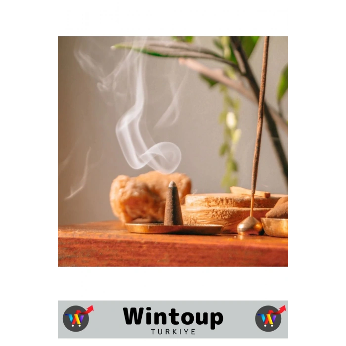 Rahatlatıcı Arındırıcı İyileştirici Ev Ofis Meditasyon Yoga Chakra Pozitif Enerji 120 Konik Tütsü