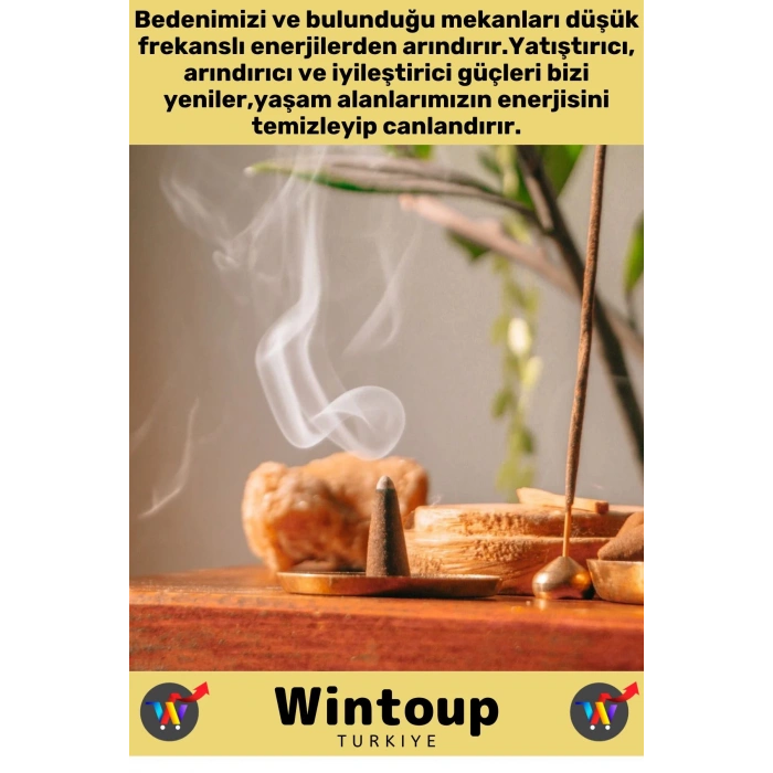 Rahatlatıcı Arındırıcı İyileştirici Ev Ofis Meditasyon Yoga Chakra Pozitif Enerji 120 Konik Tütsü