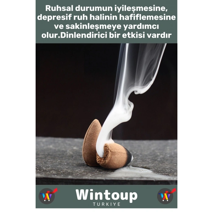 Premium Seri Kötü Koku Giderici İyileştirici Meditasyon Yoga Chakra Pozitif Enerji Geri Akış Tütsü