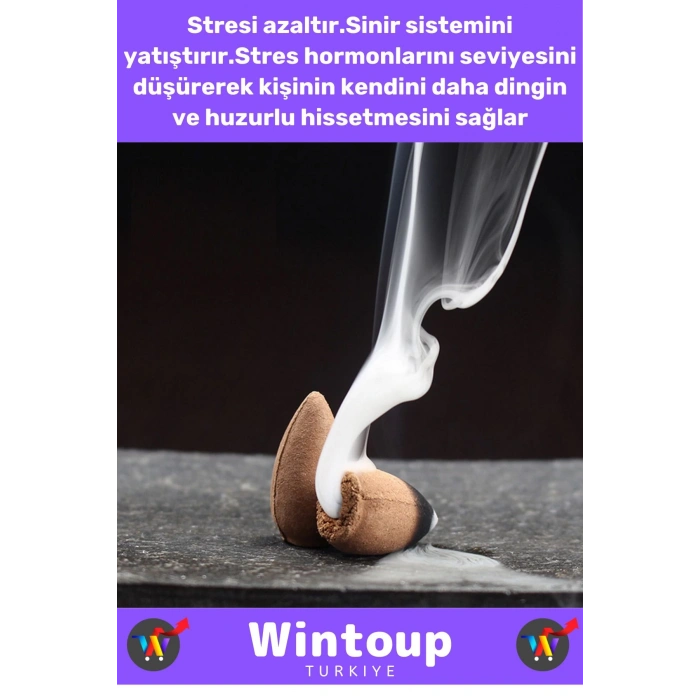 Premium Seri Kötü Koku Giderici İyileştirici Meditasyon Yoga Chakra Pozitif Enerji Geri Akış Tütsü