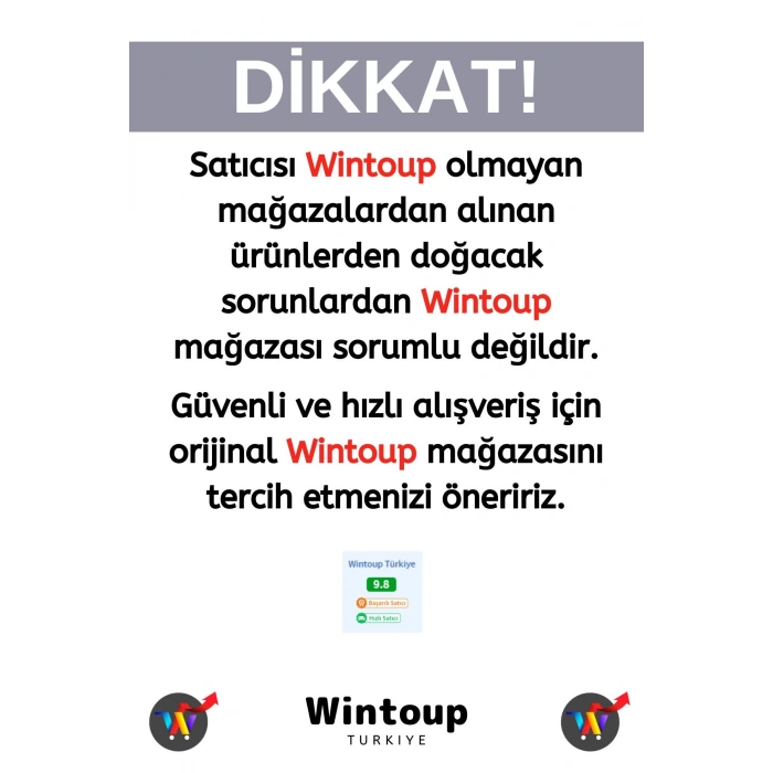 Premium Eğlenceli El Göz Koordinasyon Beceri Görsel Algı Geliştirici Çocuk 1000 Prça PUZZLE AY ŞEHRİ