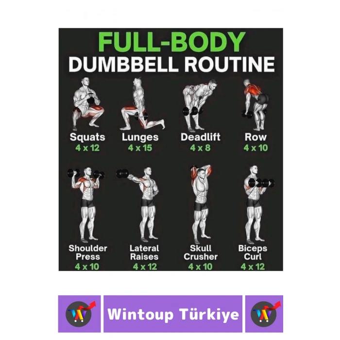 Premium Yüksek Kaliteli Plastik Egzersiz Pilates Isınma Ev Hafif Ağırlık Antrenman 2 X 1 KG Dambıl