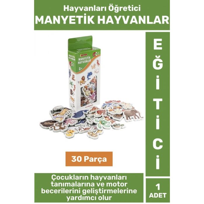 Premium Eğitici Görsel Algı El-Göz Koordinasyonu Hayvanların Öğrenimi 30 Parça MANYETİK HAYVANLAR
