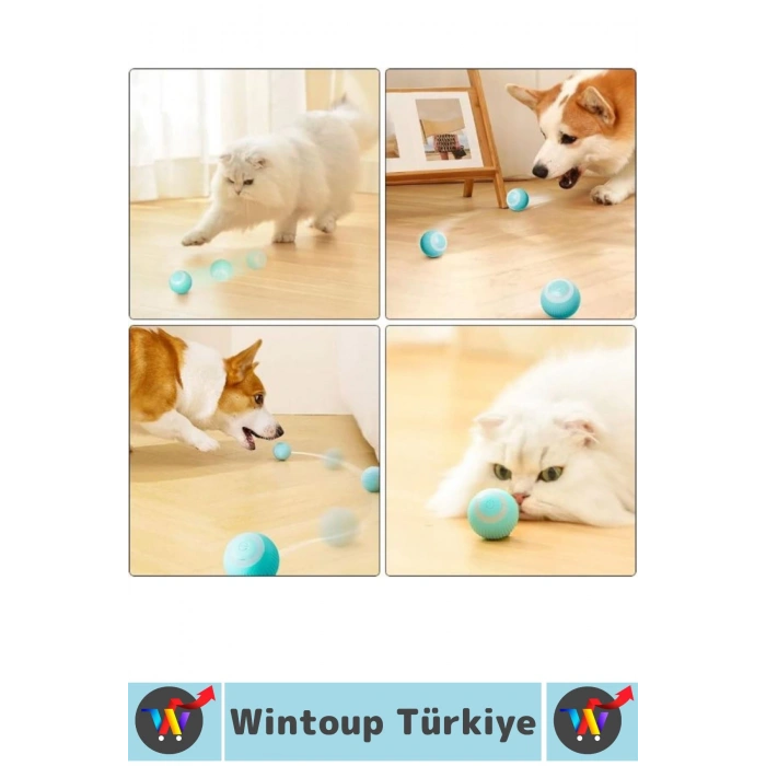 Eğlenceli Zararsız Pet Evcil Hayvan Eğitici Kedi Köpek Silikon 3 Modlu Şarjlı İnteraktif Oyun Topu