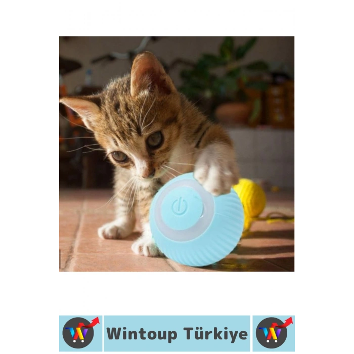 Eğlenceli Zararsız Pet Evcil Hayvan Eğitici Kedi Köpek Silikon 3 Modlu Şarjlı İnteraktif Oyun Topu