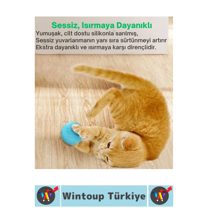 Eğlenceli Zararsız Pet Evcil Hayvan Eğitici Kedi Köpek Silikon 3 Modlu Şarjlı İnteraktif Oyun Topu