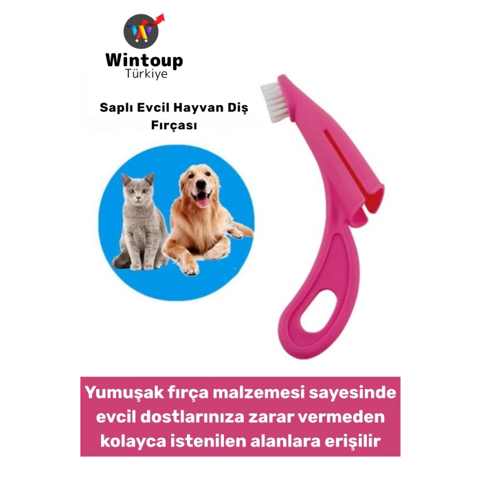 Ergonomik Kolay Tutuş Zararsız Yumuşak Fırça Yavru Kedi Köpek Evcil Hayvan Diş Fırçası
