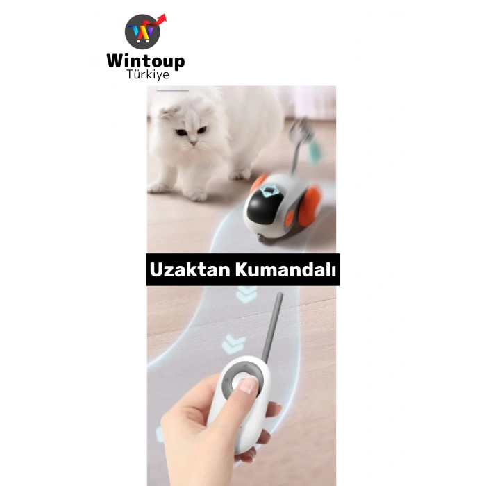 Evcil Hayvan Kedi Fiziksel Gelişm İlgi Çekici Eğlenceli Şarjlı Uzaktan Kumandalı Robot Kedi Oyuncağı