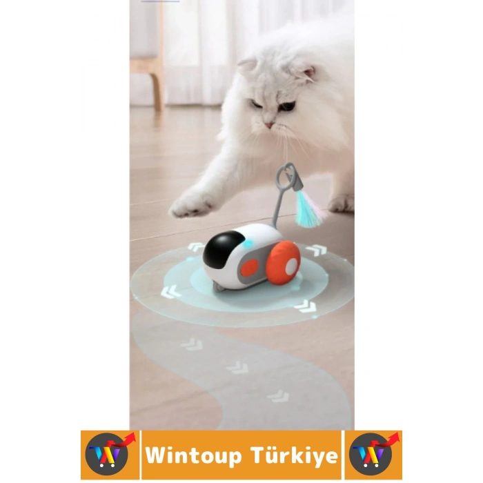 Evcil Hayvan Kedi Fiziksel Gelişm İlgi Çekici Eğlenceli Şarjlı Uzaktan Kumandalı Robot Kedi Oyuncağı