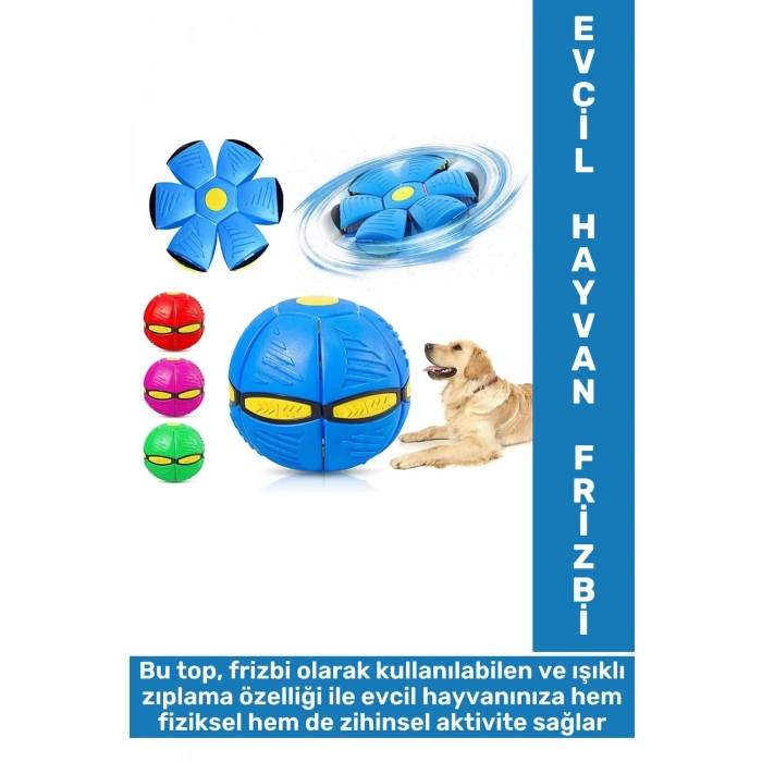 Eğlenceli İnteraktif Fiziksel Zihinsel Gelişim Işıklı Zıplayan Frizbi Kedi Köpek Evcil Hayvan Topu