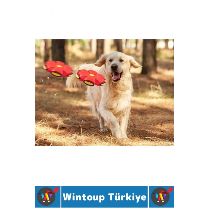 Eğlenceli İnteraktif Fiziksel Zihinsel Gelişim Işıklı Zıplayan Frizbi Kedi Köpek Evcil Hayvan Topu