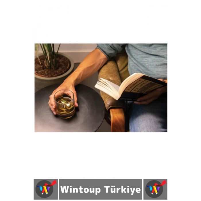 Yıkanabilir Kokteyl İçki Alkol Viski Sulandırmayan Saklama Kutulu Metal Kaplama Buz Taşı 4 Adet