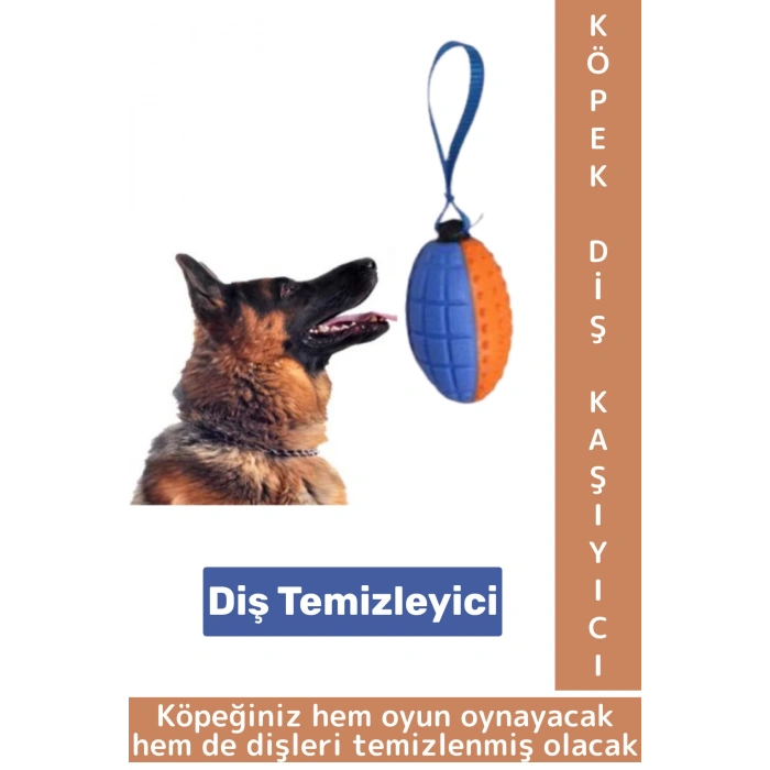 Evcil Hayvan Büyük Küçük Irk Tüm Cinslere Uygun Diş Temizleyici Eğlenceli Köpek Diş Kaşıma Oyun Topu