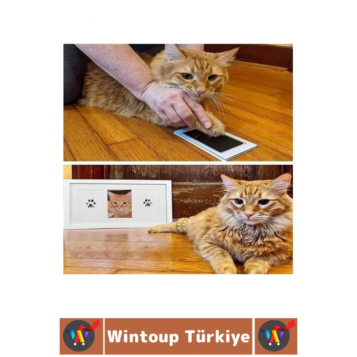Premium İki Kullanımlık Mürekkepsiz Baskı Evcil Hayvan Kedi Köpek Pati İzi Fotoğraf Çerçevesi Seti