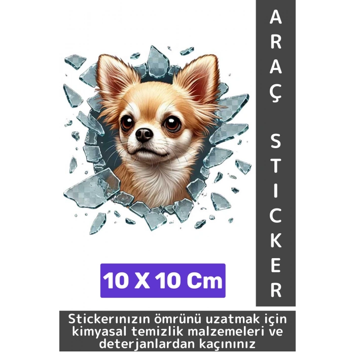 Özel Tasarım Araç Dış Modifiye Eğlenceli Yaratıcı Şık 3D Evcil Hayvan Kedi Köpek Sticker 10 X 10 Cm