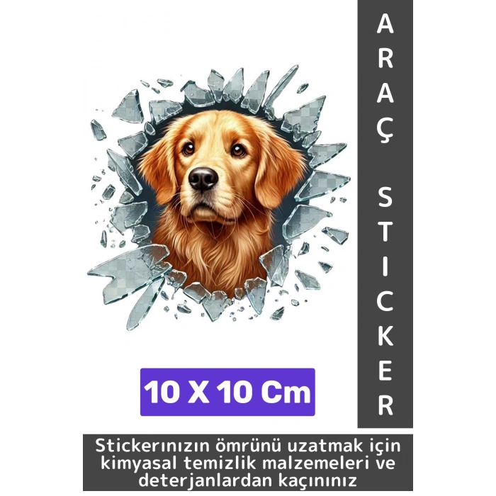 Özel Tasarım Araç Dış Modifiye Eğlenceli Yaratıcı Şık 3D Evcil Hayvan Kedi Köpek Sticker 10 X 10 Cm