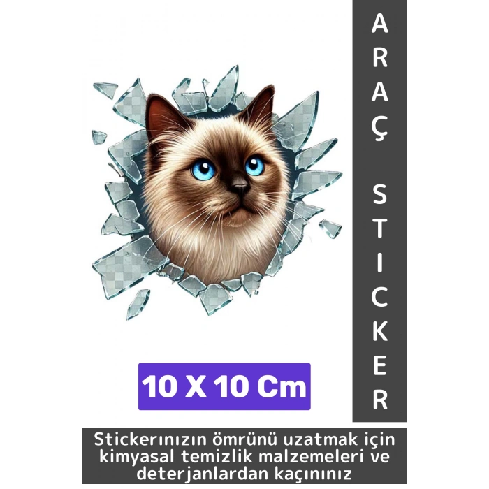Özel Tasarım Araç Dış Modifiye Eğlenceli Yaratıcı Şık 3D Evcil Hayvan Kedi Köpek Sticker 10 X 10 Cm