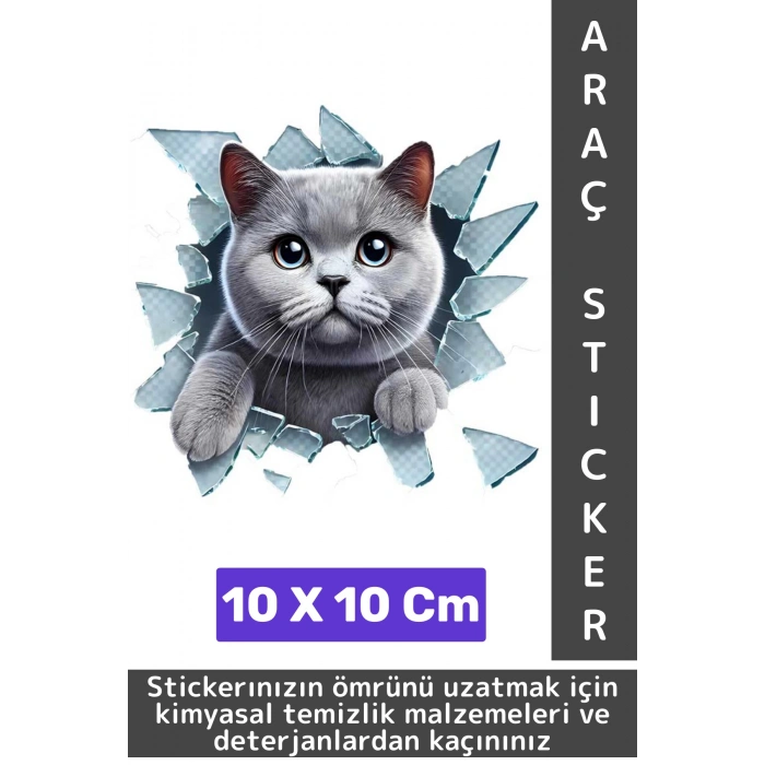 Özel Tasarım Araç Dış Modifiye Eğlenceli Yaratıcı Şık 3D Evcil Hayvan Kedi Köpek Sticker 10 X 10 Cm