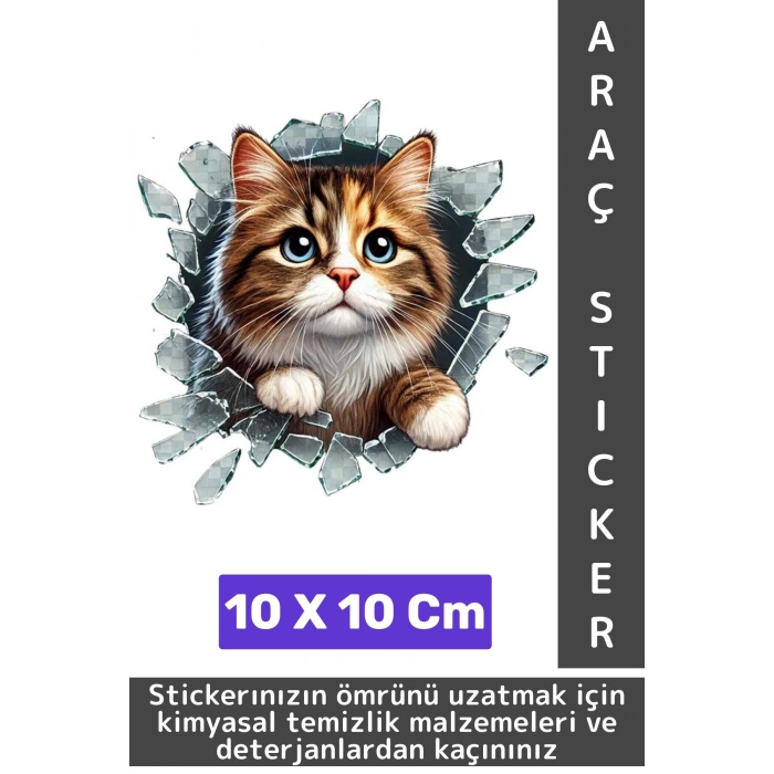 Özel Tasarım Araç Dış Modifiye Eğlenceli Yaratıcı Şık 3D Evcil Hayvan Kedi Köpek Sticker 10 X 10 Cm