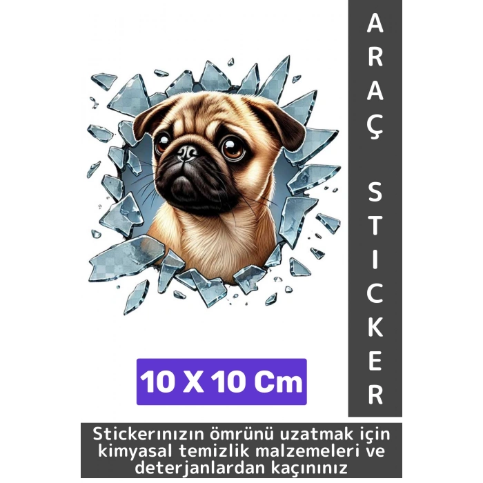 Özel Tasarım Araç Dış Modifiye Eğlenceli Yaratıcı Şık 3D Evcil Hayvan Kedi Köpek Sticker 10 X 10 Cm