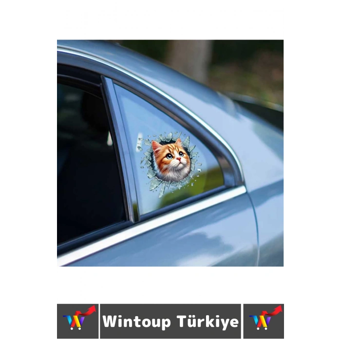 Özel Tasarım Araç Dış Modifiye Eğlenceli Yaratıcı Şık 3D Evcil Hayvan Kedi Köpek Sticker 10 X 10 Cm