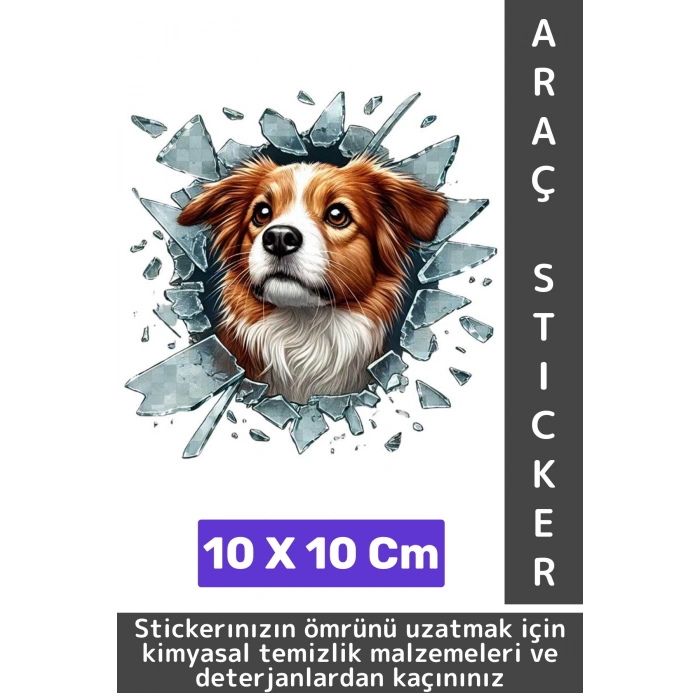 Özel Tasarım Araç Dış Modifiye Eğlenceli Yaratıcı Şık 3D Evcil Hayvan Kedi Köpek Sticker 10 X 10 Cm