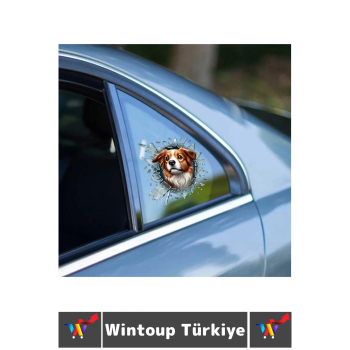 Özel Tasarım Araç Dış Modifiye Eğlenceli Yaratıcı Şık 3D Evcil Hayvan Kedi Köpek Sticker 10 X 10 Cm