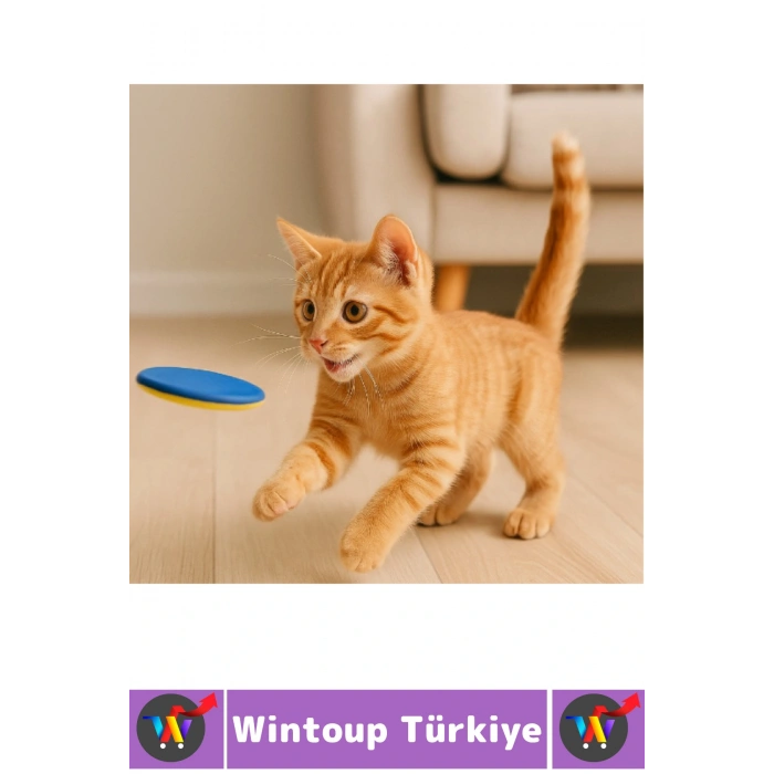 Eğlenceli Çocuk Evcil Hayvan Kedi Köpek İlgi Çeken Zararsız Yumuşak Renkli Disk Atan Oyuncak Tabanca