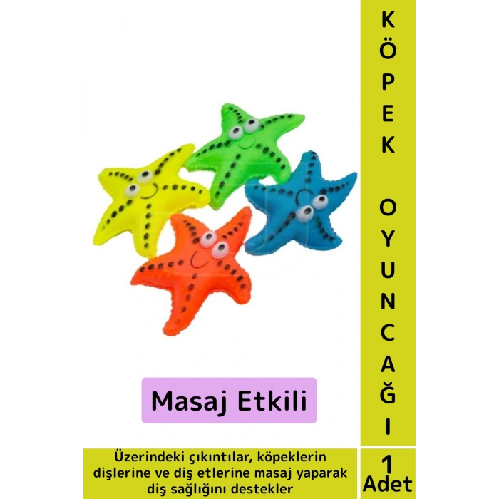 Evcil Hayvan Köpek Diş Temizliği Kaşıma Masaj Etkili İlgi Çekici Denizyıldızı Figür Çiğneme Oyuncağı