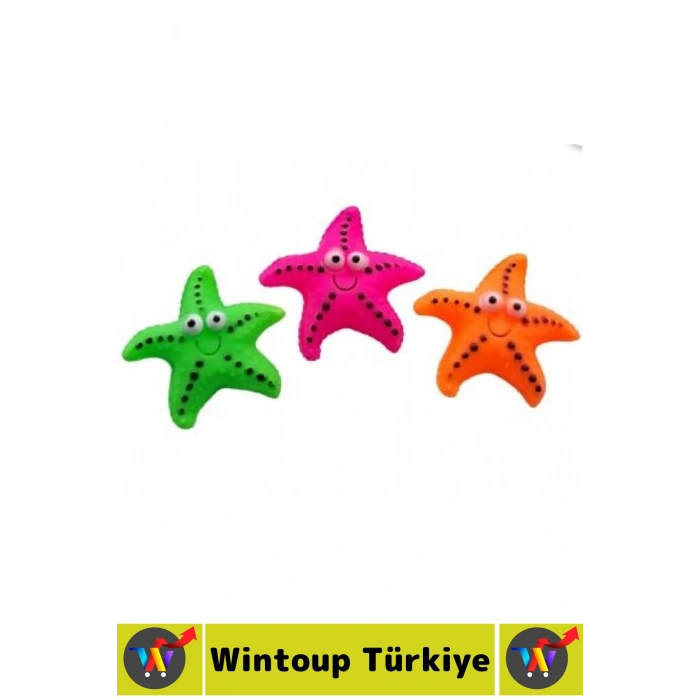 Evcil Hayvan Köpek Diş Temizliği Kaşıma Masaj Etkili İlgi Çekici Denizyıldızı Figür Çiğneme Oyuncağı