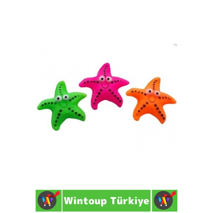 Evcil Hayvan Köpek Diş Temizliği Kaşıma Masaj İlgi Çekici Denizyıldızı Figür Çiğneme Oyuncağı 2 Adet