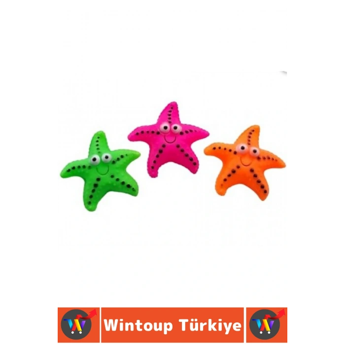 Evcil Hayvan Köpek Diş Temizliği Kaşıma Masaj İlgi Çekici Denizyıldızı Figür Çiğneme Oyuncağı 4 Adet