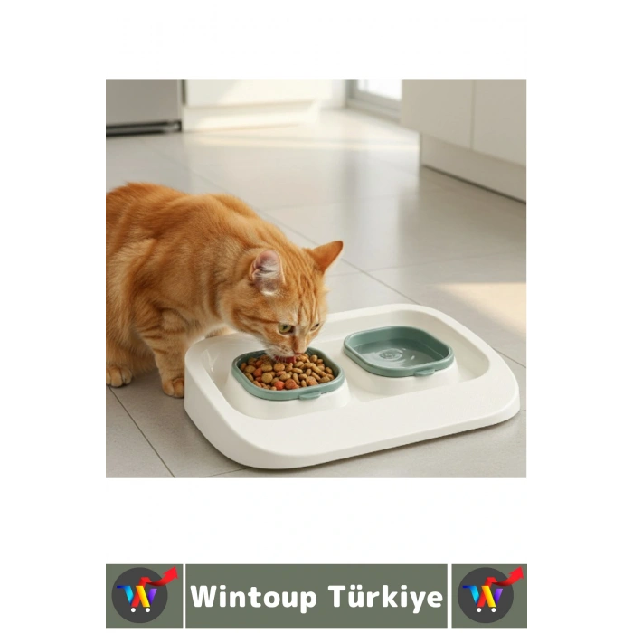 Evcil Hayvan Kaymaz Taban Çıkarılabilir Tasarım Çift Bölmeli Kedi Köpek Plastik Mama Su Kabı 2 in 1