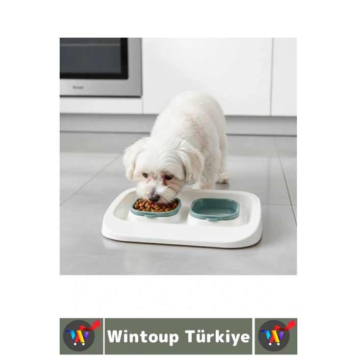 Evcil Hayvan Kaymaz Taban Çıkarılabilir Tasarım Çift Bölmeli Kedi Köpek Plastik Mama Su Kabı 2 in 1