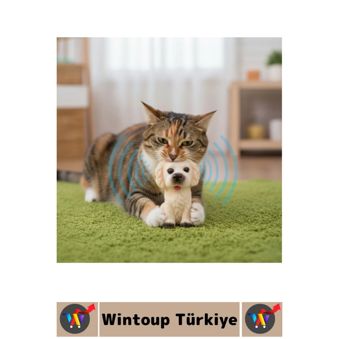 Dayanıklı Evcil Hayvan Kedi Küçük Irk Köpek Eğlenceli İlgi Çekici Sesli Köpek Tasarımlı Oyuncak