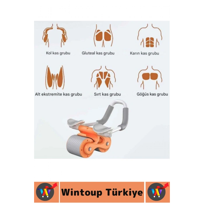 Özel Kaymaz Tasarım Sessiz Çalışma Kontrollü Fren AB Roller Alt Vücut Karın Kası Egzersiz Tekerleği